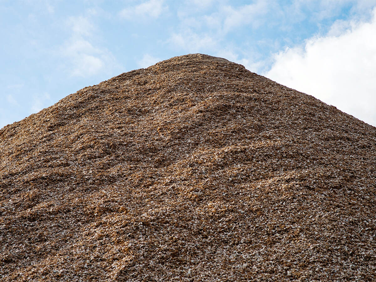 Pile of mulch woodchips against a blue sky